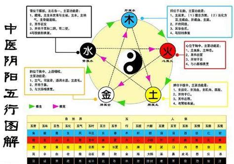 水和金 五行|金生水（五行对应关系）